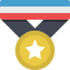 Gold Medal Star